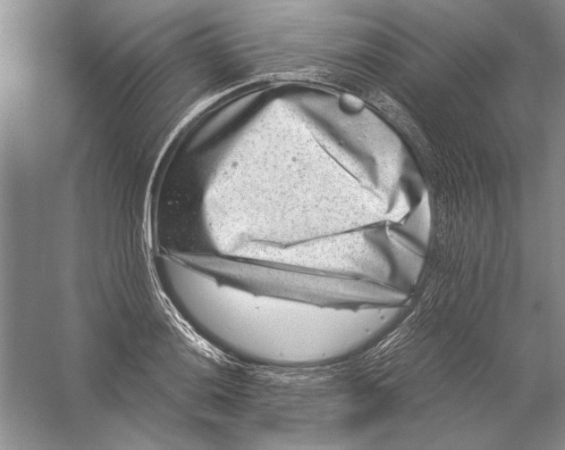 X0000056381036200509232219