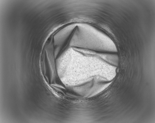 X0000056381040200509232219