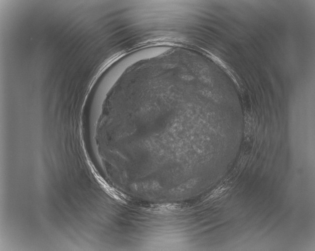 X0000056381042200509232219