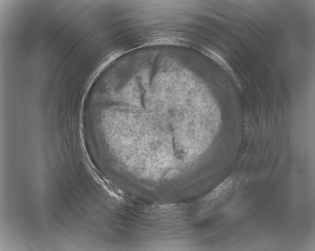 X0000056381043200509232219