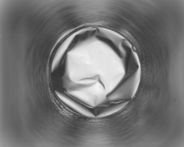 X0000056381044200509232219