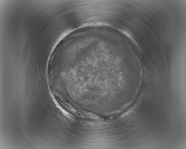 X0000056381046200509232219