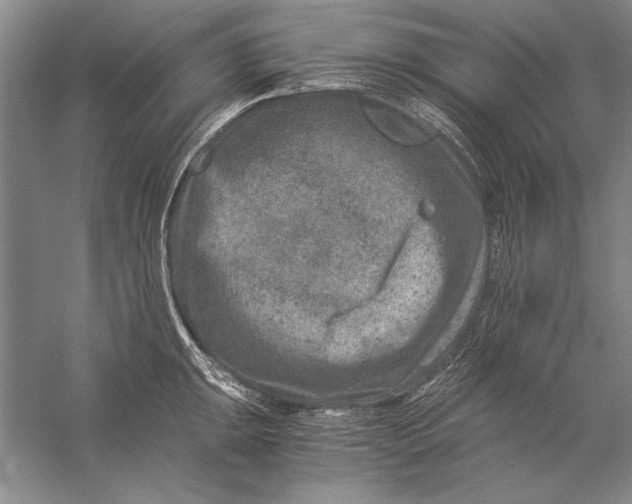 X0000056381047200509232219