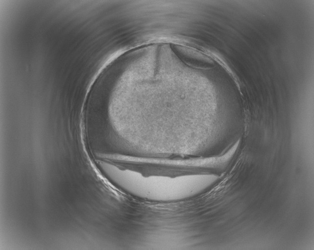 X0000056381048200509232219