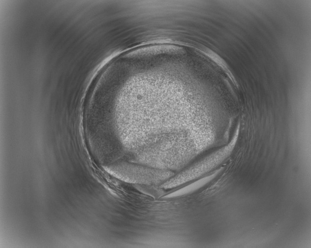 X0000056381051200509232219