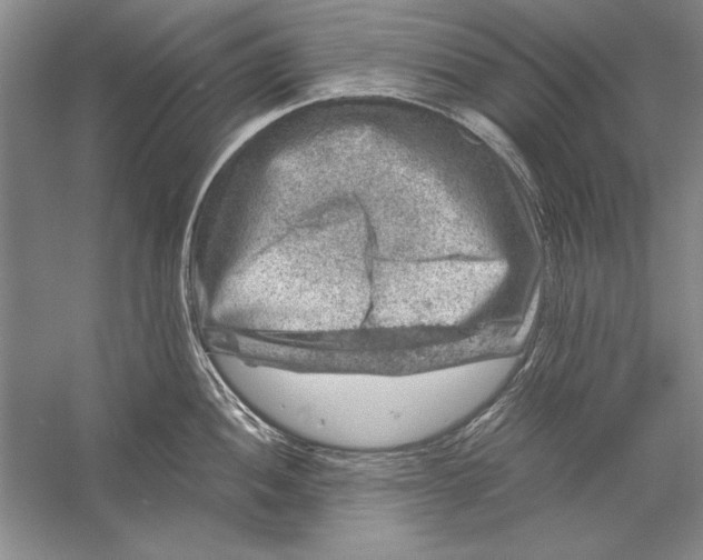 X0000056381052200509232219