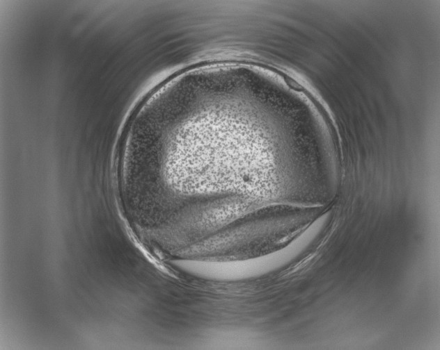 X0000056381053200509232219