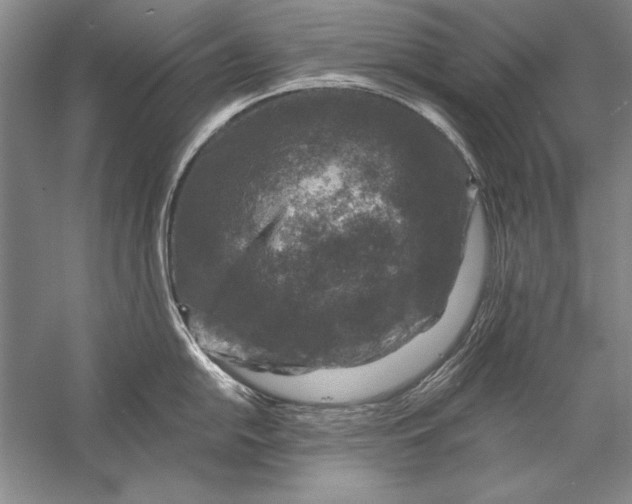 X0000056381054200509232219