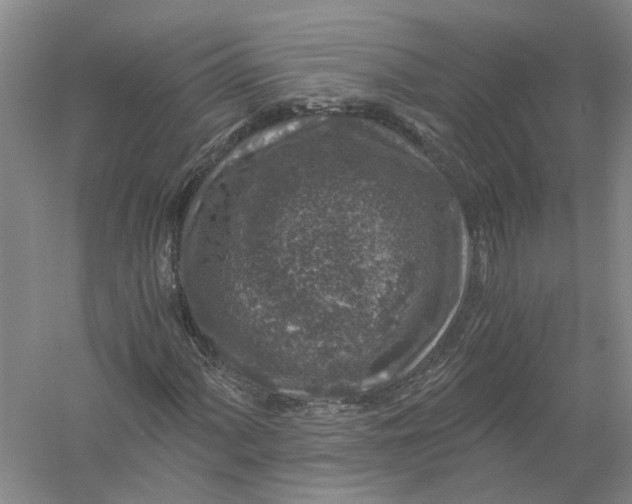 X0000056381060200509232219