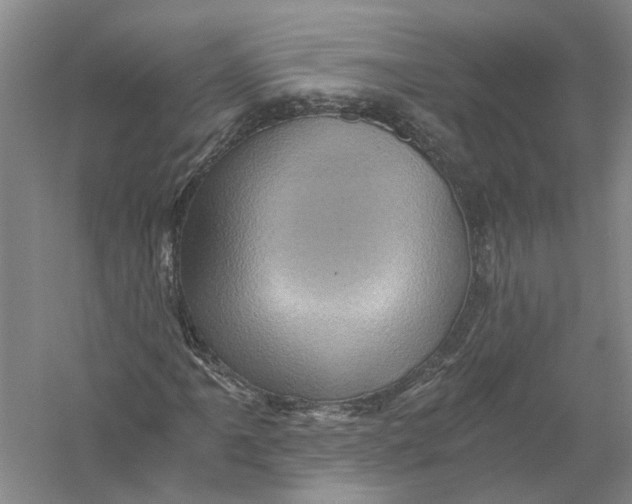 X0000056381061200509232219