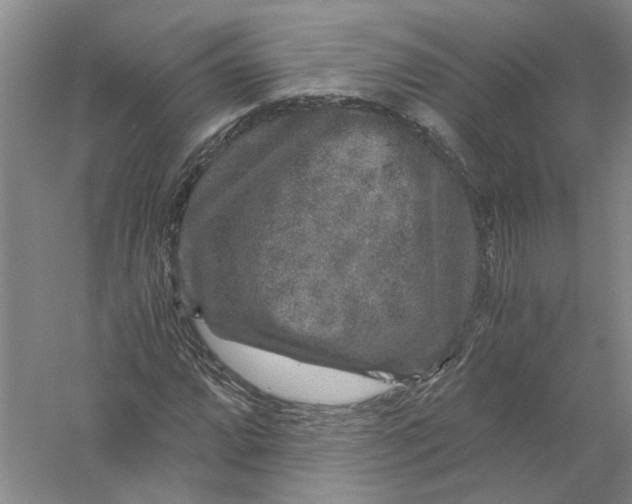 X0000056381064200509232219