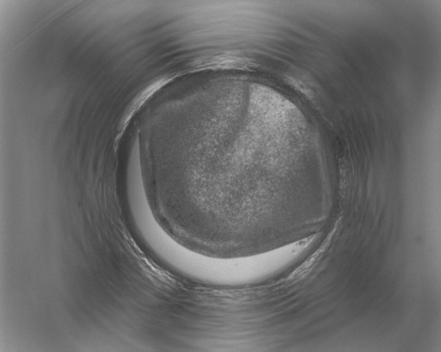 X0000056381066200509232219