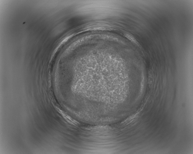 X0000056381067200509232219