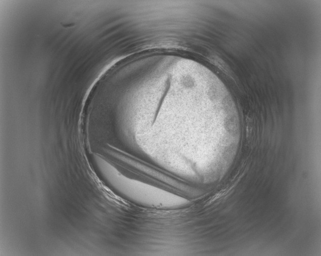 X0000056381068200509232218