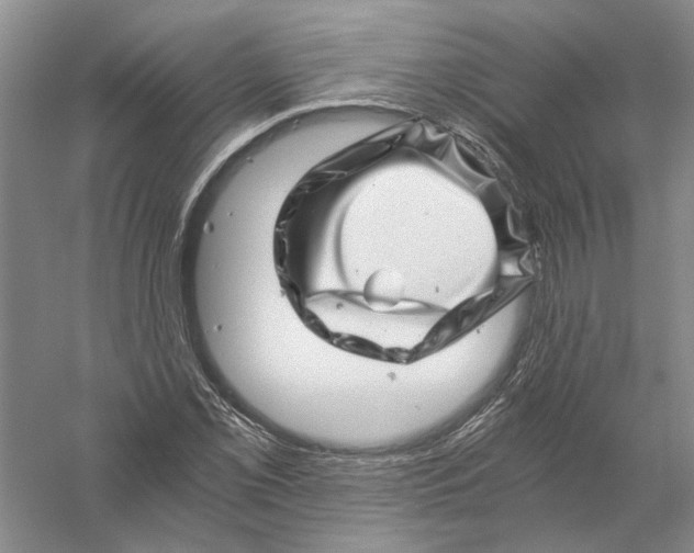 X0000056381069200509232218