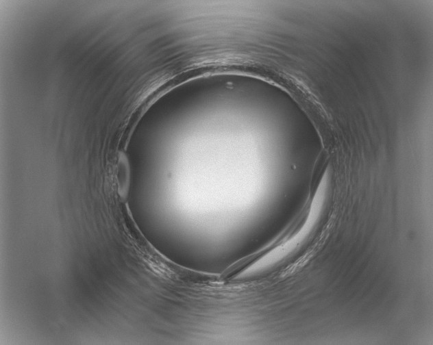 X0000056381073200509232218