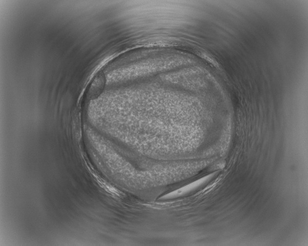 X0000056381075200509232218