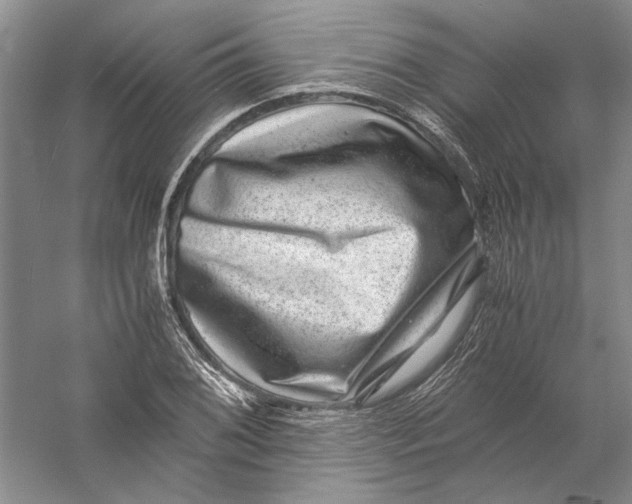 X0000056381076200509232218