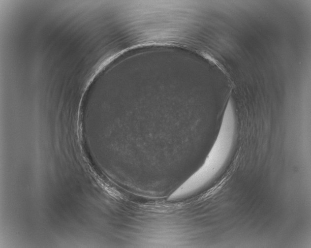 X0000056381077200509232218