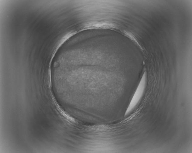 X0000056381079200509232218