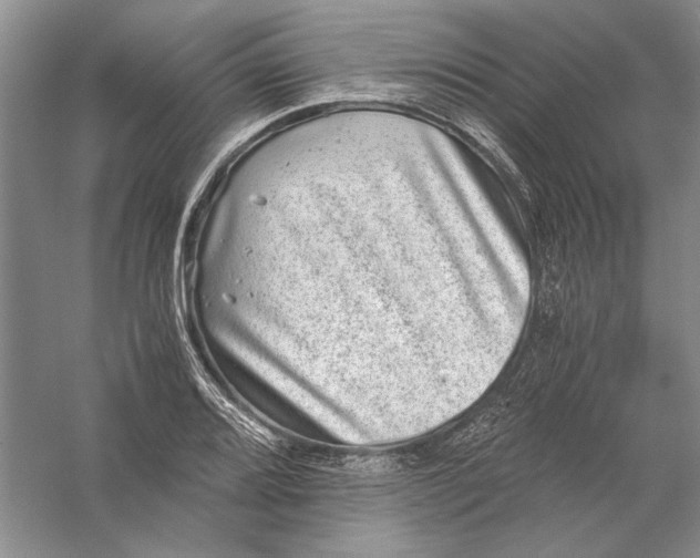 X0000056381080200509232218