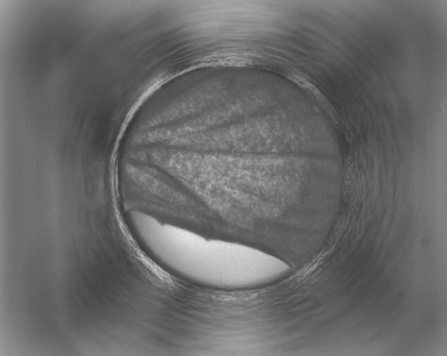 X0000056381083200509232218