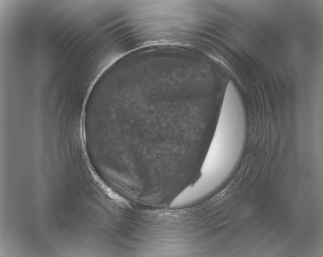 X0000056381084200509232218