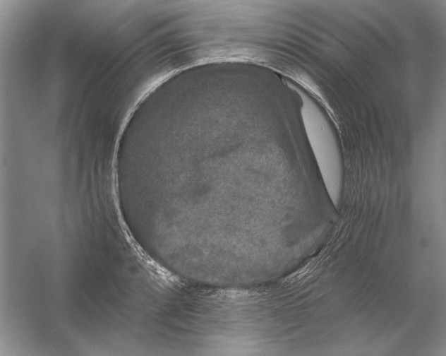 X0000056381088200509232218