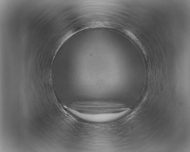 X0000056381089200509232218