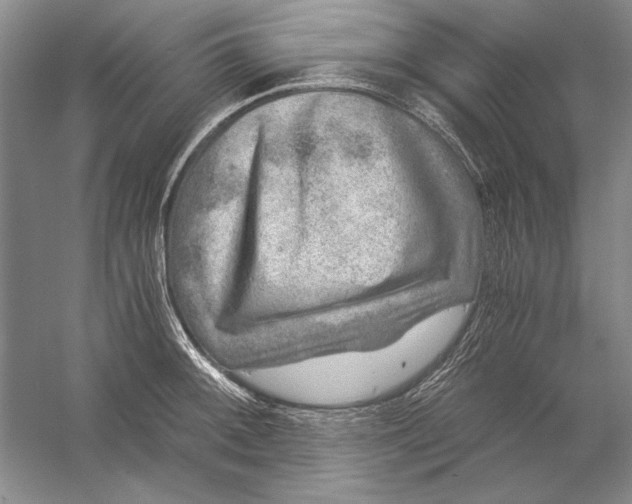 X0000056381092200509232218