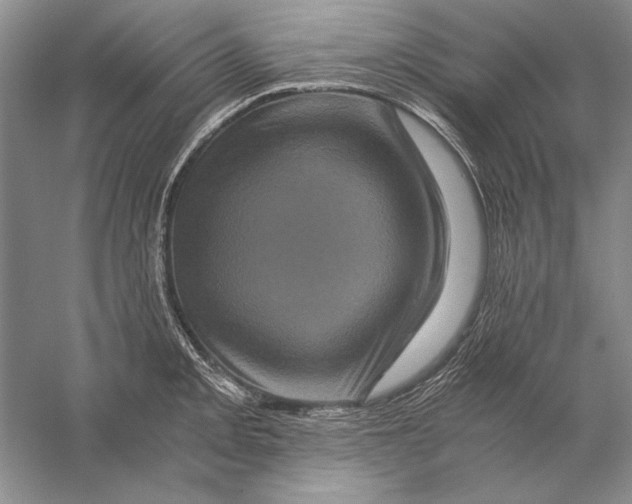 X0000056381093200509232218