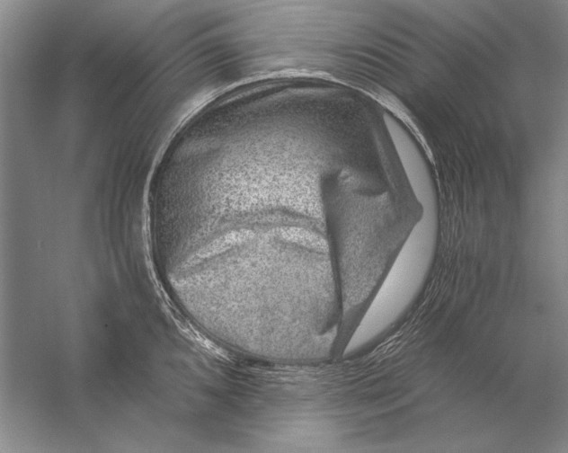 X0000056381096200509232218