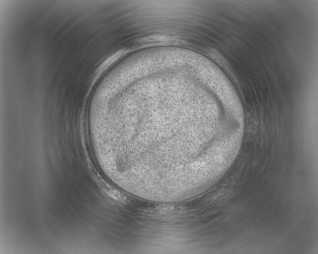 X0000056381098200509232218