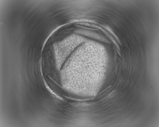 X0000056381100200509232218