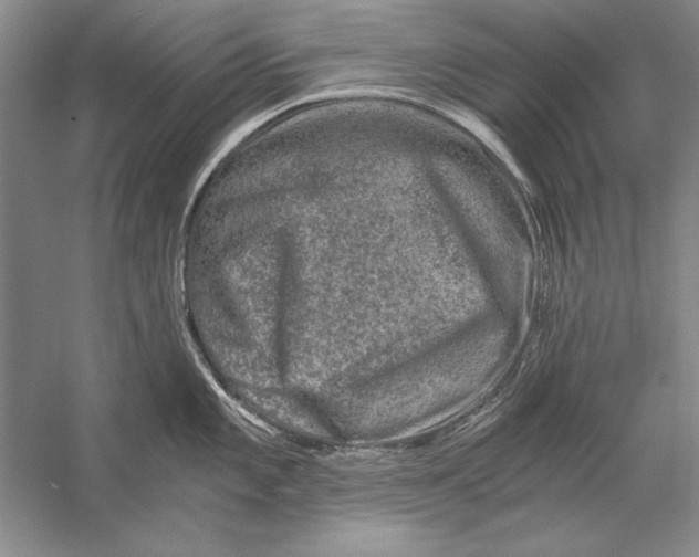 X0000056381101200509232218