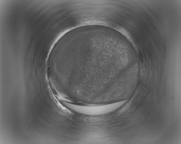 X0000056381102200509232218