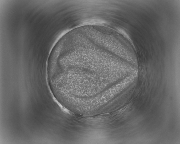 X0000056381103200509232218