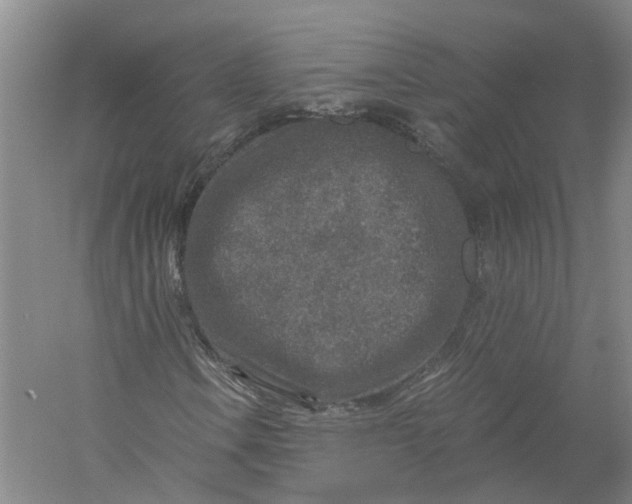 X0000056381106200509232217