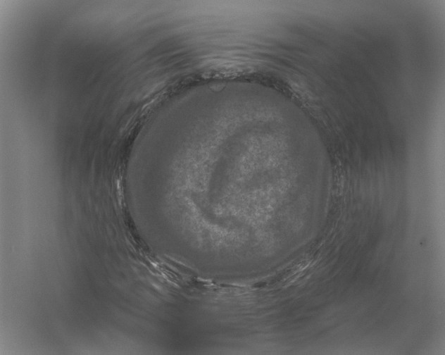 X0000056381109200509232217