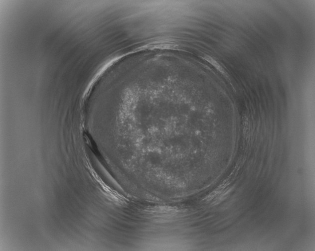 X0000056381115200509232217