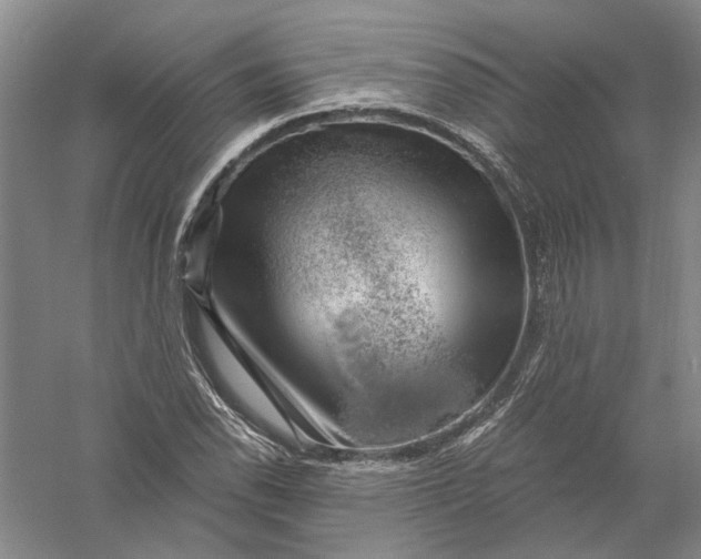 X0000056381118200509232217