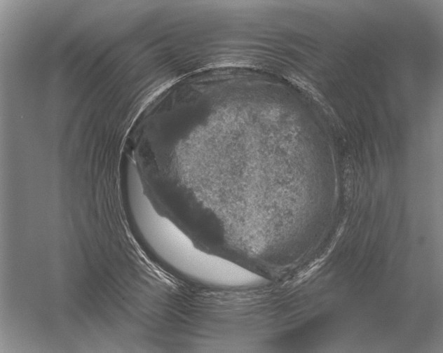 X0000056381121200509232217