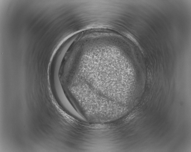 X0000056381124200509232217