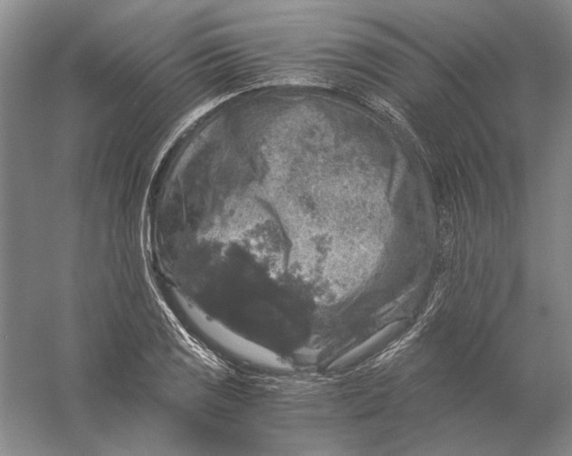 X0000056381125200509232217