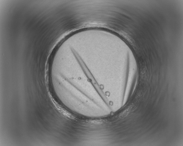 X0000056381126200509232217