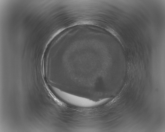 X0000056381127200509232217