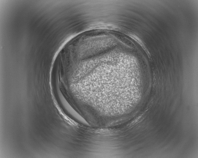 X0000056381128200509232217