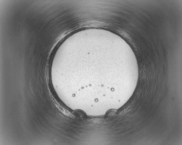 X0000056381130200509232217