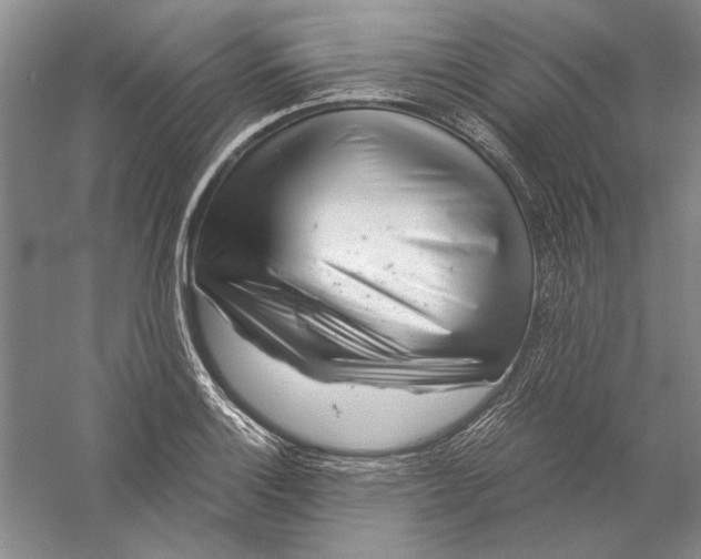 X0000056381132200509232218