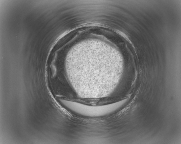 X0000056381133200509232218